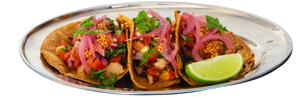 Tacos de Cochon, Avocat, Coriandre, Pickles